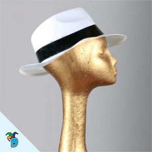 Sombrero Gnaster Pvc Blanco